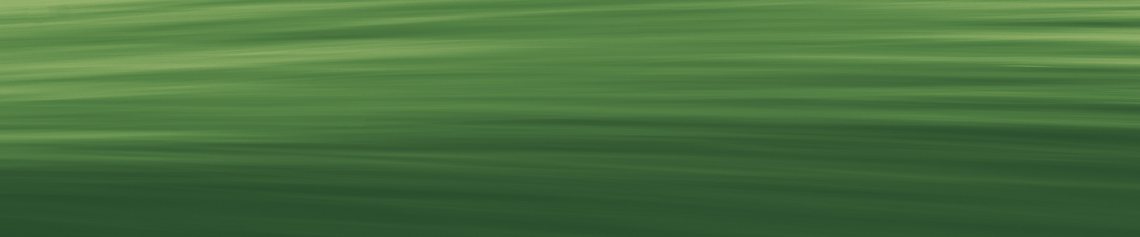 Shop our end of season sale featuring white font on a green background.