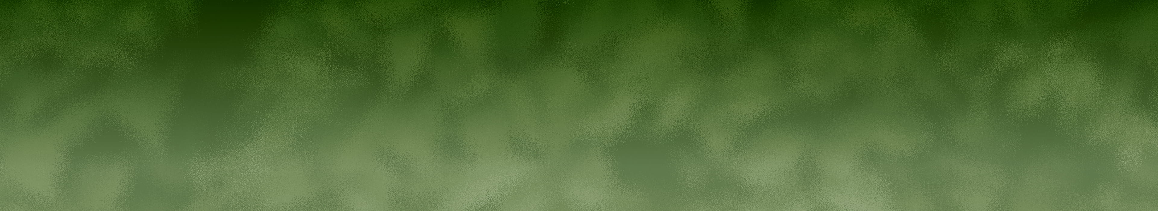 Shop our end of season sale featuring a textured green background with white text.